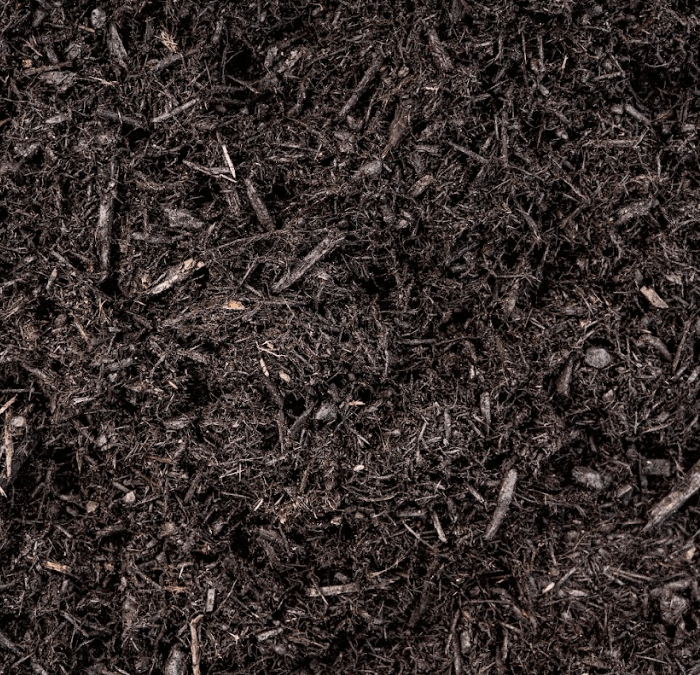 Dyed Black Mulch