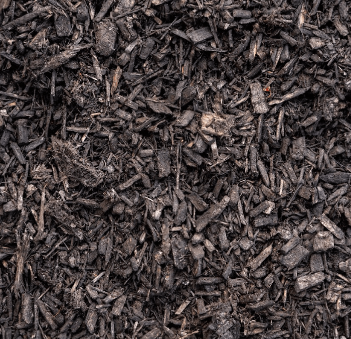 Dyed Black Chips