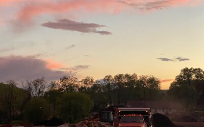 Why Mulch: Beyond Just “Looking Pretty”
