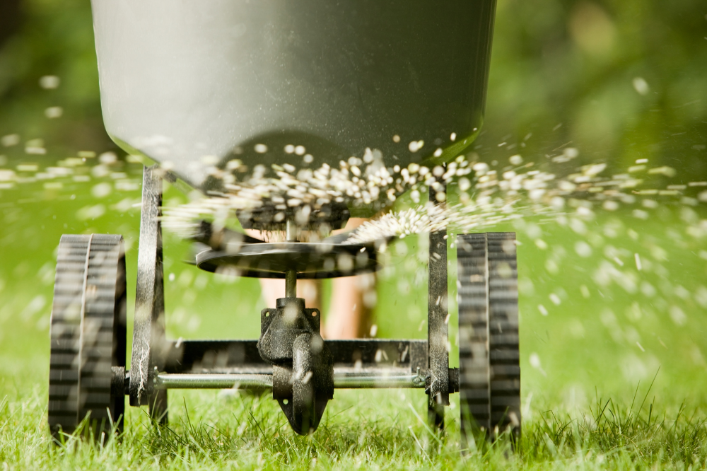Summer Lawn Care: Keeping Your Turf Thriving in Southwestern PA