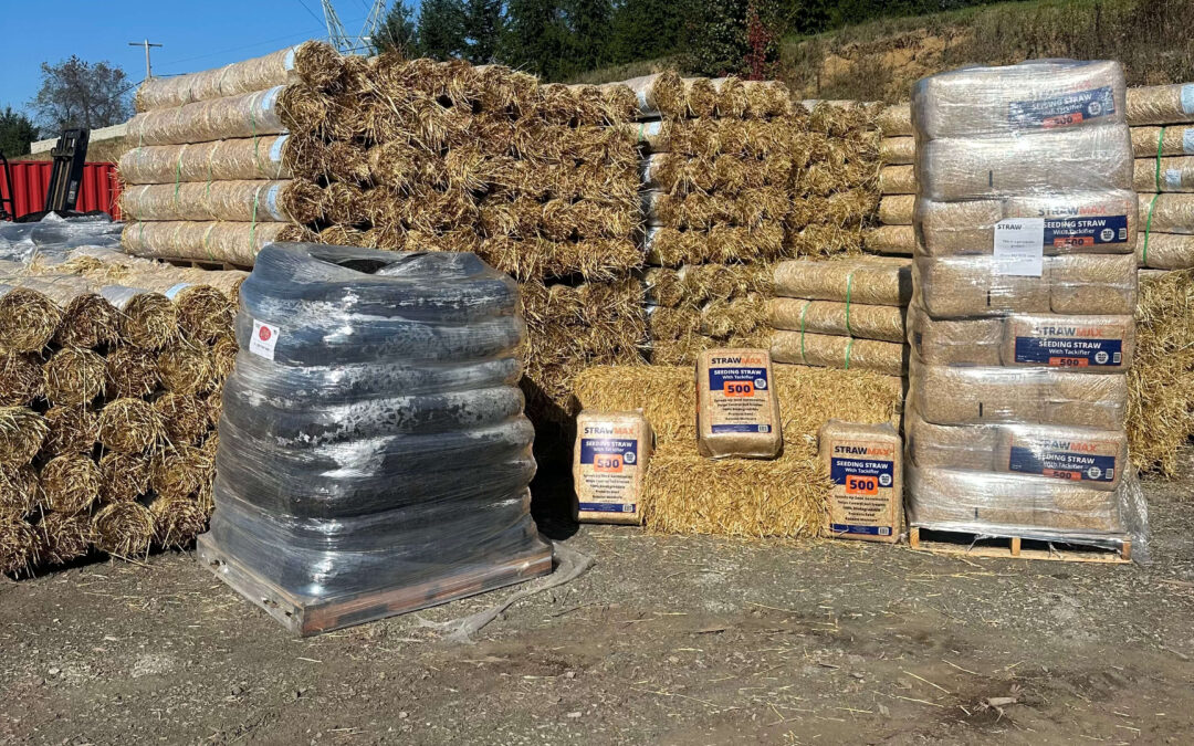 Autumn Lawn Recovery: Seeding, Erosion Control, and Fall Planting
