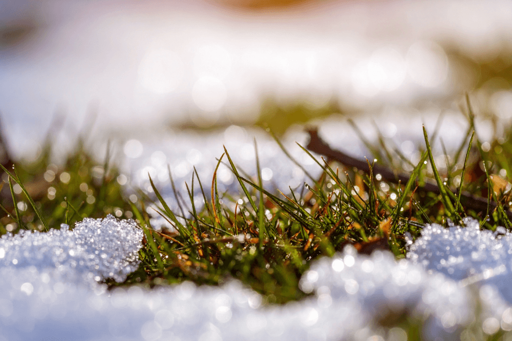 Pre-Spring Prep: 5 Essential Steps