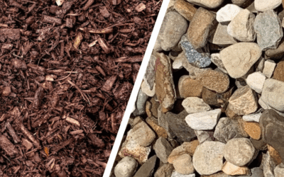 Mulch vs. Decorative Stone: The Pro/Con Guide