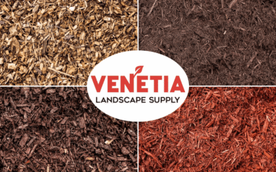 Much Ado About Mulch: Finding the Perfect Fit for Your Yard