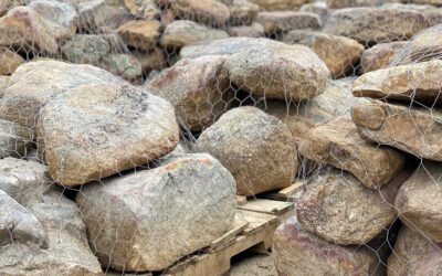 Between a Rock and a Hardscape: Finding the Perfect Stone for Your Yard