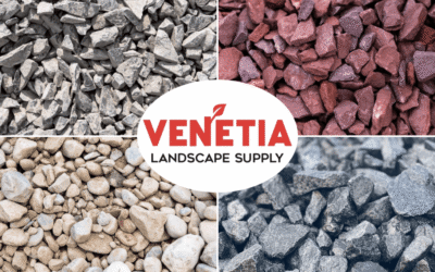 From Mud to Masterpiece: Fixing Spring Drainage Issues