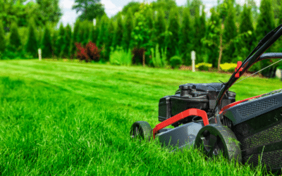 Lawn Rehab: Keeping the “Spring Green” Alive