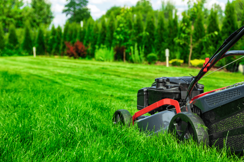 Lawn Rehab: Keeping the “Spring Green” Alive