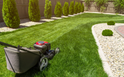 Revitalize Your Curb Appeal: The Ultimate Guide to Seasonal Yard Maintenance