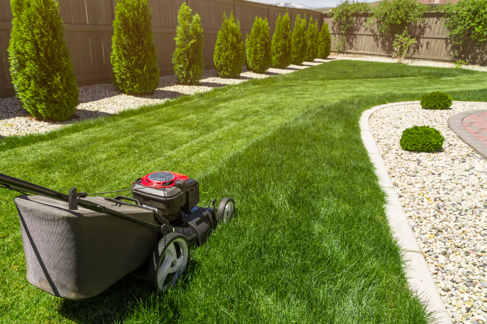 Revitalize Your Curb Appeal: The Ultimate Guide to Seasonal Yard Maintenance